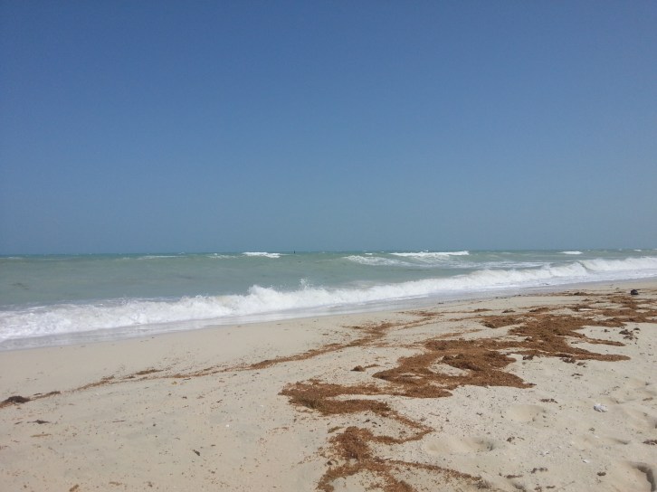 Do you follow your own path or follow someone else's footstep?