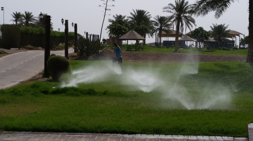 Someone enjoying the sprinklers and keeping cool.