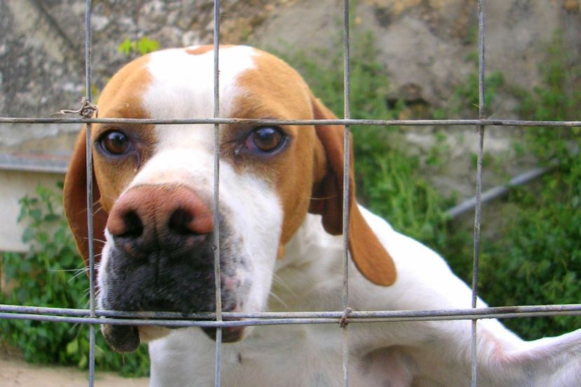 Photo Credit: Stefano Mortellara via CC Flickr